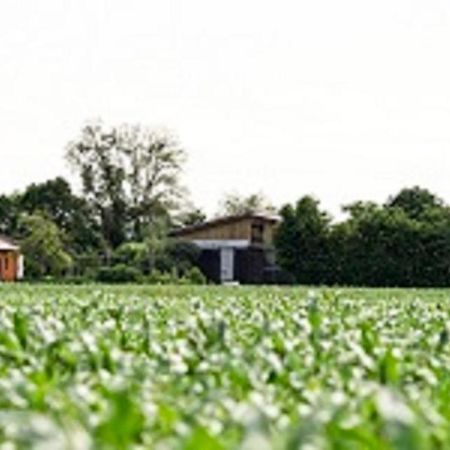 Demeterhof Duenninger Lägenhet Hofheim in Unterfranken Exteriör bild