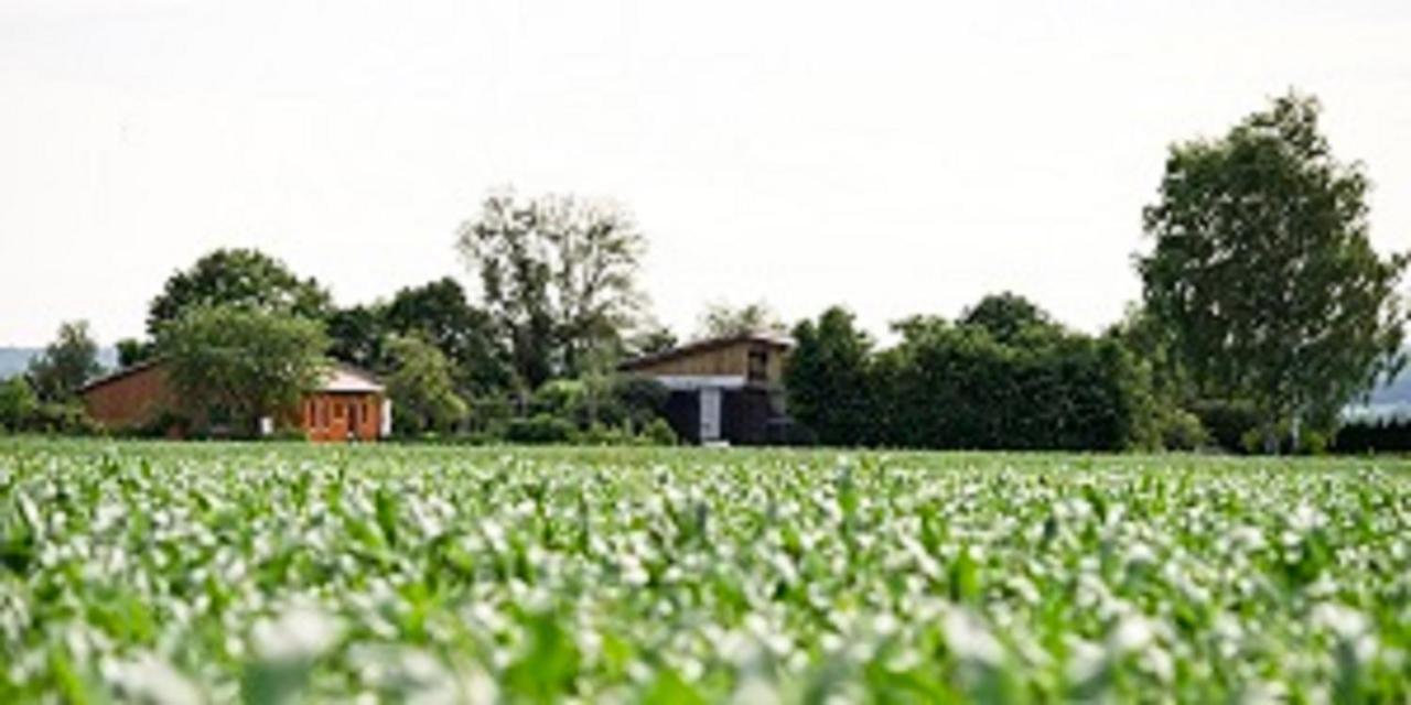 Demeterhof Duenninger Lägenhet Hofheim in Unterfranken Exteriör bild